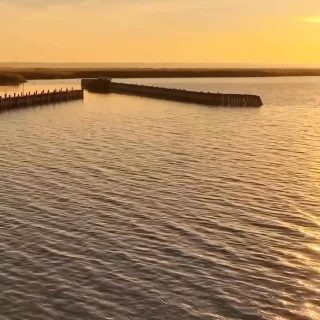 A inovação que transforma o amanhã encontra sua força na sabedoria que nos precede. Sob o tema “A Biotecnologia é Ancestral”, a @anbiotecbrasil tem a honra de anunciar a curadoria de Marcelo Pataxó para a @hospitalaroficial 2026.
Neste projeto inédito, apresentamos a inovação como a verdadeira ponte entre a ciência aplicada e a profundidade dos saberes dos povos originários. Marcelo Pataxó traz ao ambiente hospitalar uma visão sistêmica sobre o cuidado, lembrando-nos de que a tecnologia mais avançada é aquela que respeita a vida em sua essência e se traduz em soluções reais para a sociedade.
Nosso propósito vai além da teoria: através de tecnologias como diagnósticos rápidos e soluções de ponta, estamos viabilizando o acesso à saúde para as populações mais vulneráveis. Acreditamos que o progresso científico só é pleno quando encurta distâncias e promove a equidade.
Convidamos o setor de Biotecnologia e empresas de Saúde a testemunhar este encontro. Juntos, vamos construir uma saúde mais sustentável, ágil e, acima de tudo, humana.
📍 Esperamos por você na Hospitalar 2026.
📹: @marcelopataxo / ASCOM
📝: Ascom ANBIOTEC
#Hospitalar2026 #ANBIOTEC #Biotecnologia #Ancestrais #Saúde